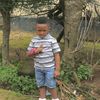 rainatu.timbo