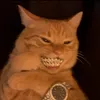 acetsvoid