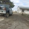 quliyevelvin54