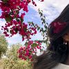 amii_ra11