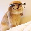 slowrobloxreal