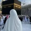 yar__gull