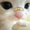 kitsyiiew