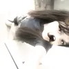 mulermis.zeppeto