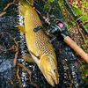 alw4ys_fishing