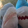 Willie the Shark