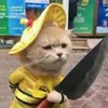 vua.pvp.roblox
