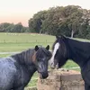 ralph.roxy.77