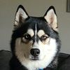 jax_shenanigans