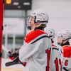 briggs_goerdt12