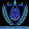 big.dogg.kennels