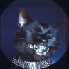 elgattosally