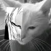 7ilispe.exe