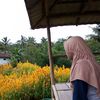 rizki18517