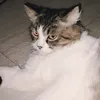 hshshshshs4444