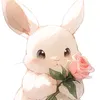 elie.bunny