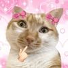 mpamo.skp