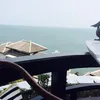 anna.nguyen470