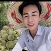 phcduy731