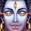 shanshamisai
