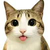 yojin_xp0