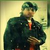 pino.la.zona.verd