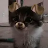 lizzzaaaa58