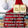 maria.mihut7