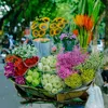 muathuhanoi339