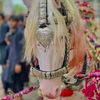 shams.shah91