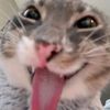 ssoomeeooneee1