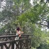 Nari_Journey