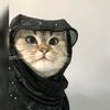 hijabgirls94