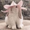 theadora_helian