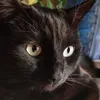 aleksandr.huligan