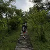 shrx.jacktzy