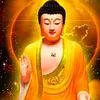 lynguyen464