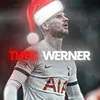 thfc_Werner