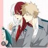 todoroki2384