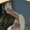 linda.na1