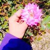 hizza_nadeem