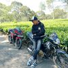 nall0800