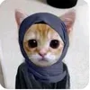 alaa718501