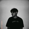 zaensl_