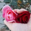 user20019054042523