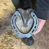 hoof picking