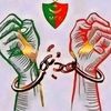 yacine.elfarok