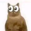 fransitopansito