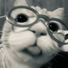 ..its._.samy..11