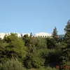 dana.stefanescu6
